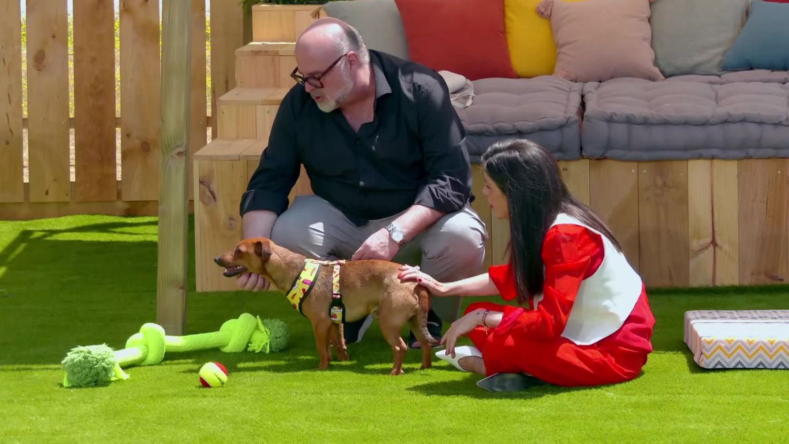 Dog House: El perro Paco conoce a Gloria y Antonio - Dog House | Ver