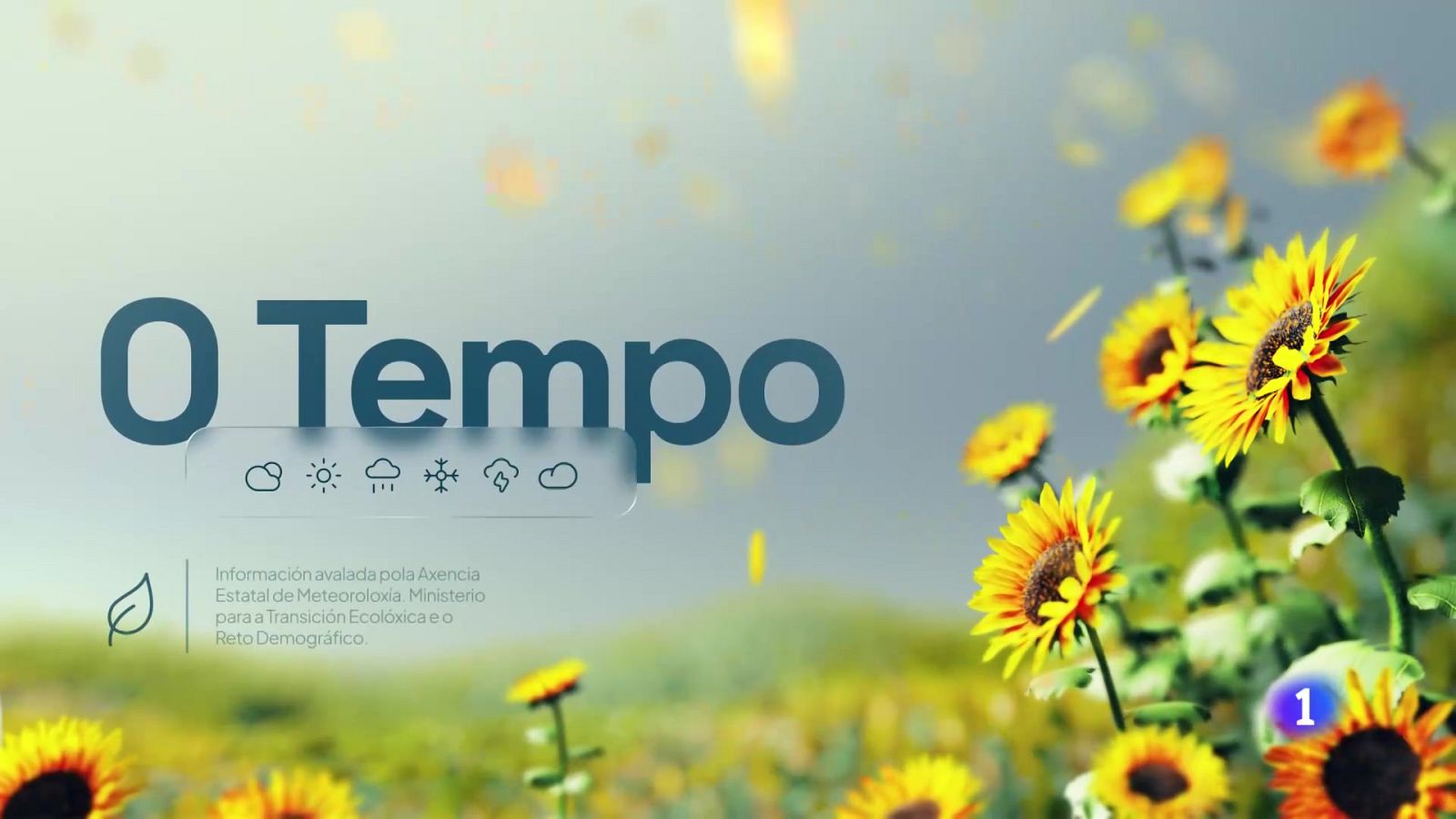 El tiempo en Galicia    16-07-2025 | Ver