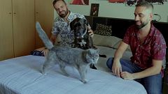 'Dog House': Pablo y Jorge y su perro "potencialmente perfecto" Freya