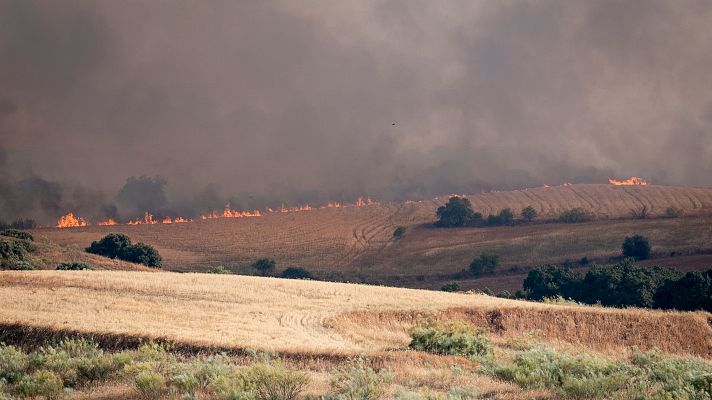 La tarde en 24h - Alfonso Arriero, alcalde de Méntrica: "La situación es preocupante porque hace mucho aire"