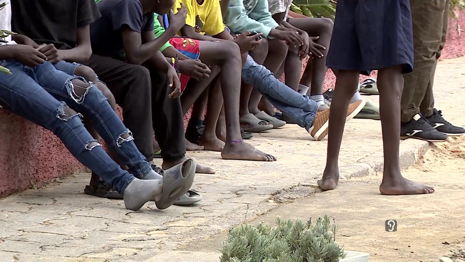 Telecanarias Tarde - 17/07/2025 | Ver