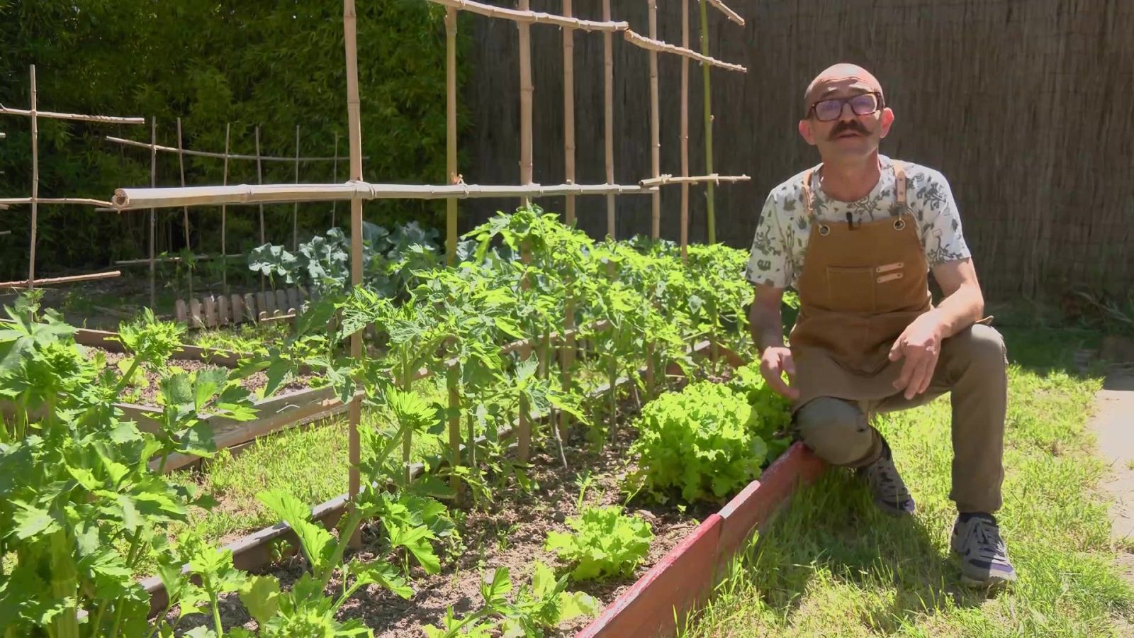 Aquí la Tierra - 17/07/25 - Aquí la Tierra | Ver