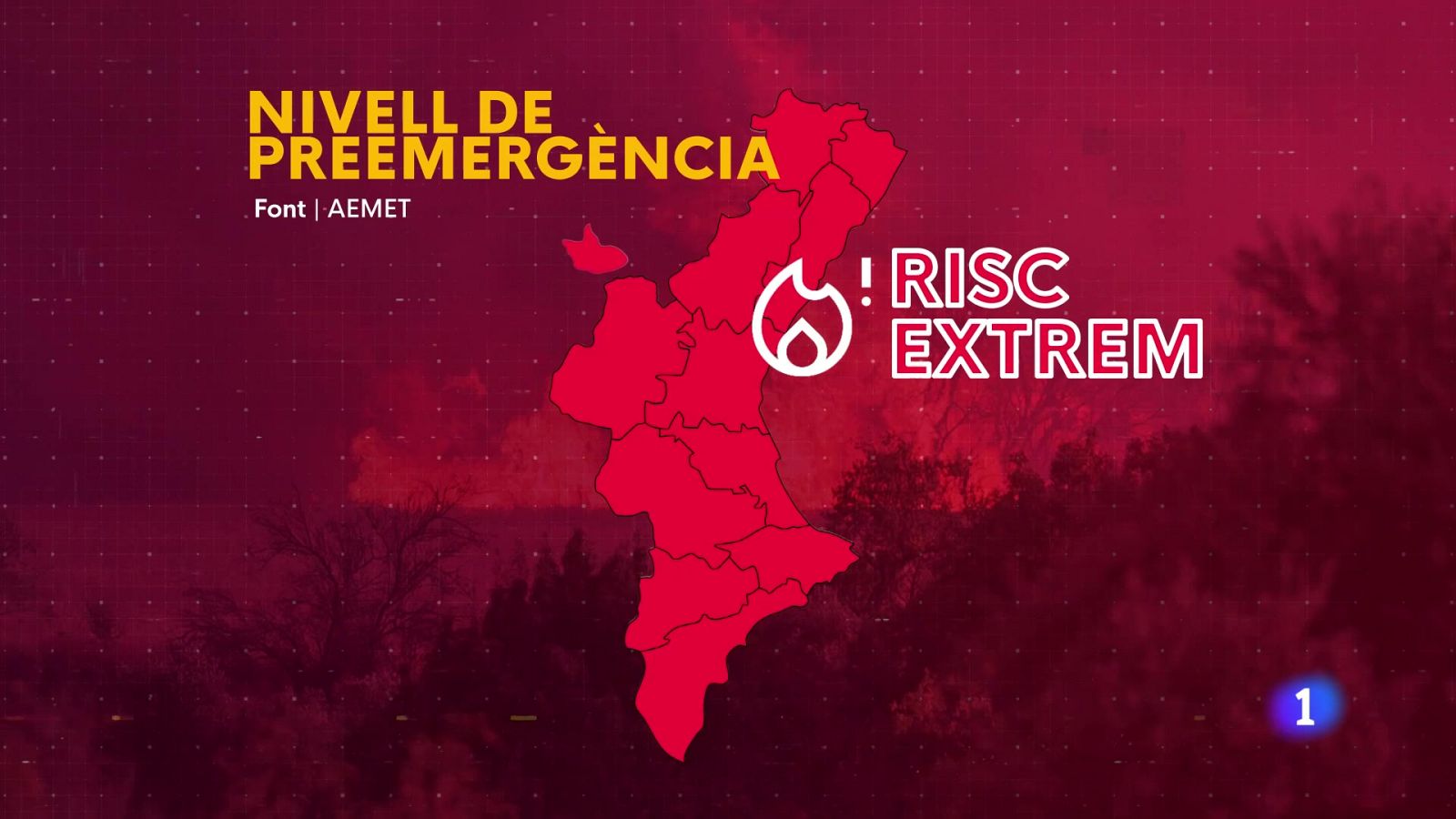 L'Informatiu de la Comunitat Valenciana 1 - 18/07/25 | Ver