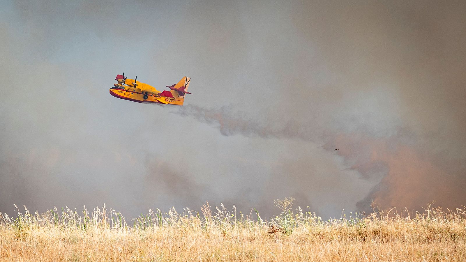 El incendio en Méntrida, Toledo, en fase de control - Telediario 1 | Ver