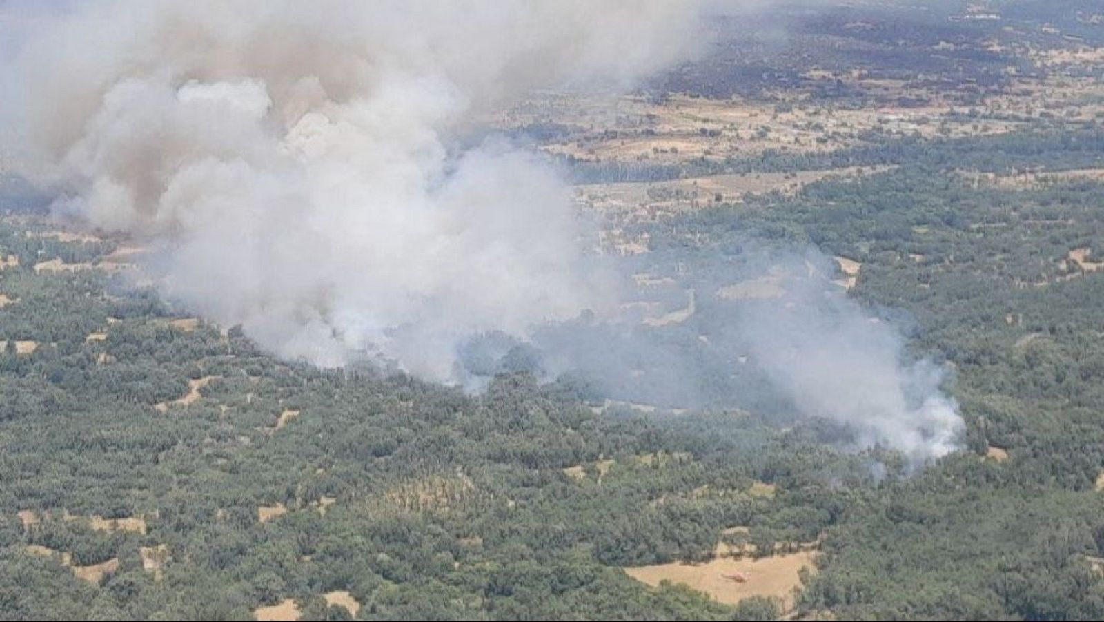 Alcalde de Navaluenga: "Se han evacuado algunas viviendas, pero el incendio está controlado" - La tarde en 24h | Ver