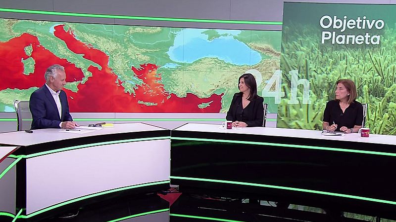 Objetivo Planeta - El Mediterrneo se tropicaliza - ver ahora