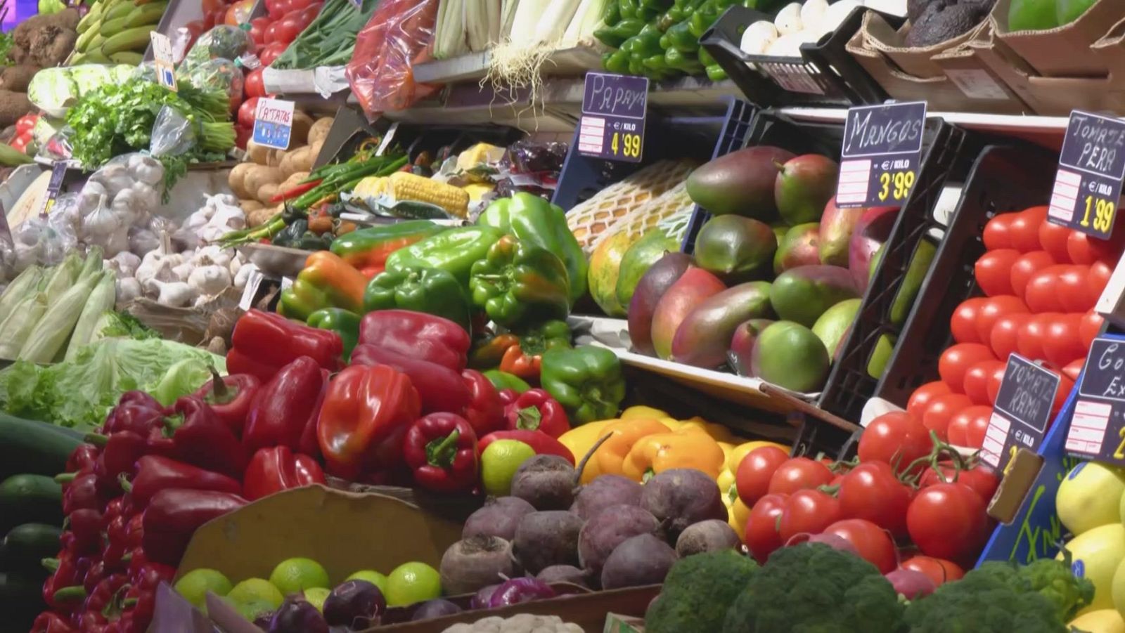 Aquí la Tierra - 18/07/25 - Aquí la Tierra | Ver