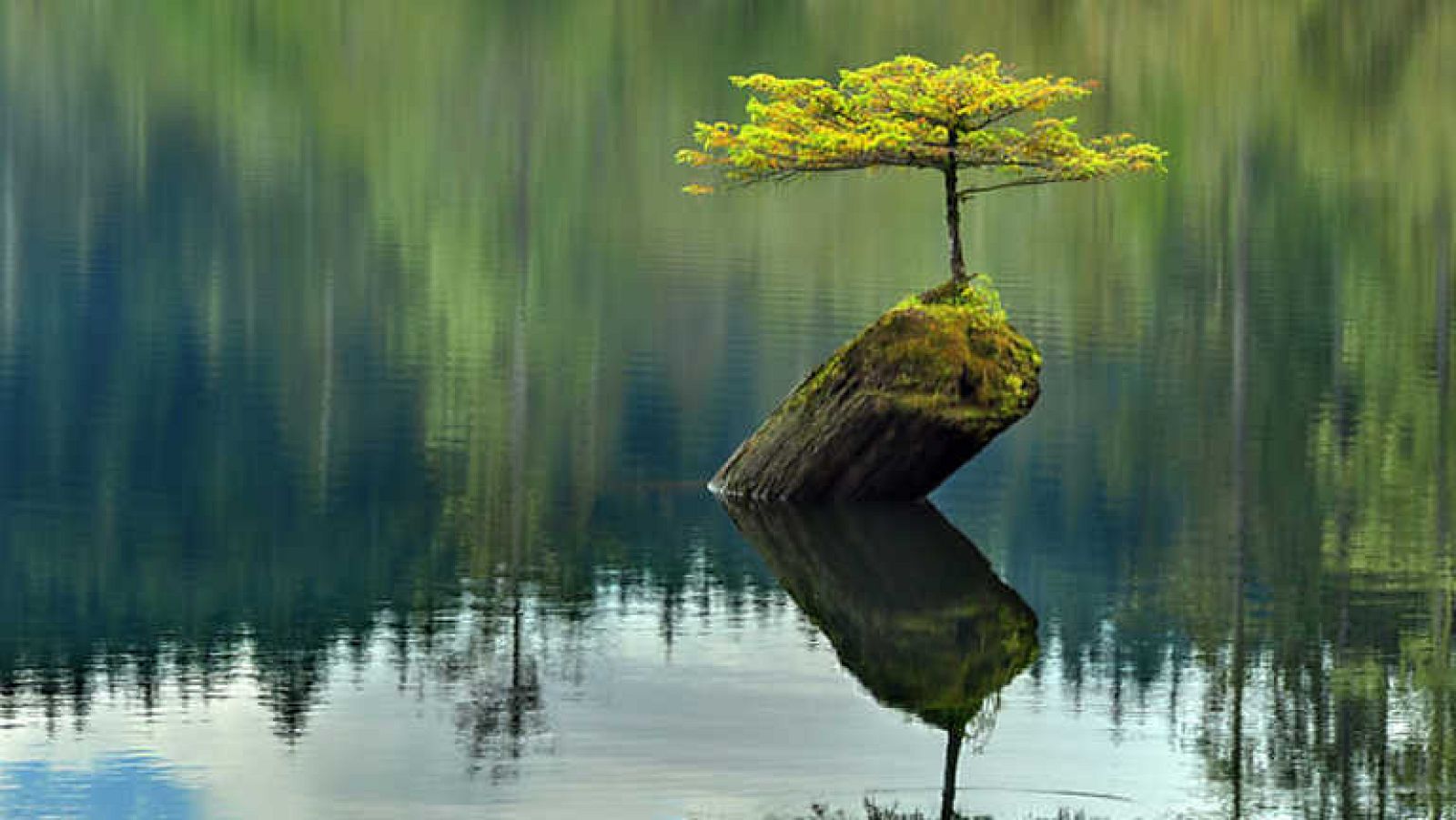 Grandes documentales - La fuerza vital de nuestro planeta: Japón  - Ver ahora