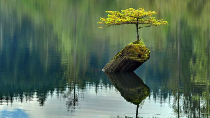Grandes documentales - La fuerza vital de nuestro planeta
