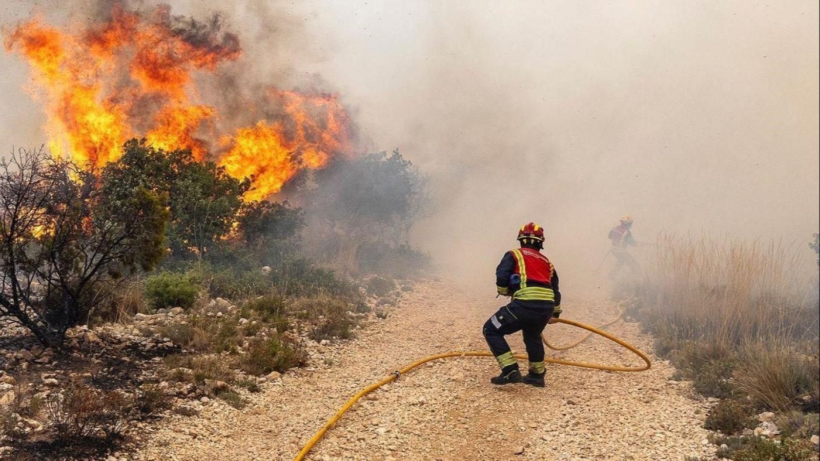 Telediario - 15 horas - 19/07/25 - Lengua de signos - Telediario en lengua de signos | Ver