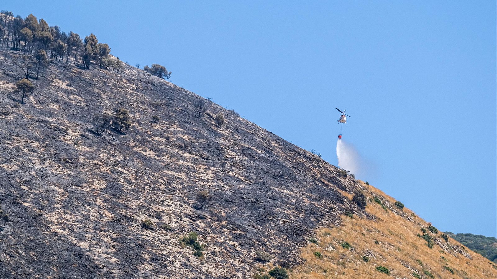 Telediario 2 en cuatro minutos - 19/07/25 - RTVE.es | Ver