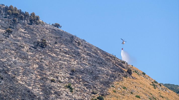 Telediario en lengua de signos - Telediario - 21 horas - 19/07/25 - Lengua de signos