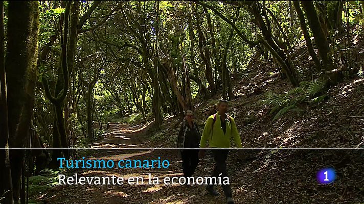 Telecanarias - Canarias en 2' - 20/07/2025