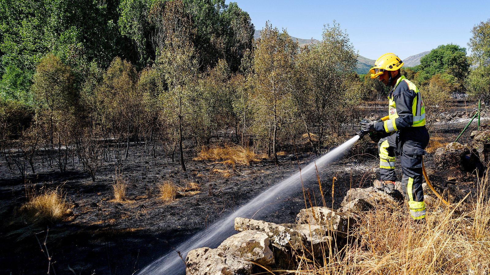 El incendio de Navaluenga, Ávila, está controlado | Ver