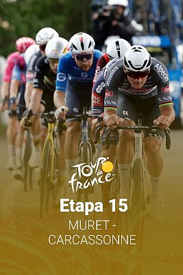 Tour de Francia - 15ª etapa: Muret - Carcassone