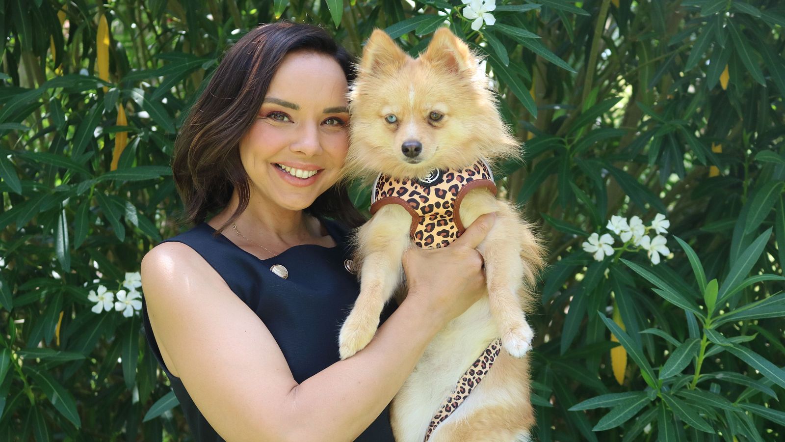 De la mano de Chenoa, este programa abre sus puertas a aquellos que quieren, a su vez, llenar su corazón y adoptar un perro que sea su mejor compañero de vida.