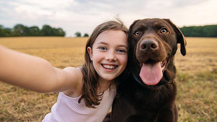 Informativo 24h - Día Mundial del Perro: el amigo que nunca falla