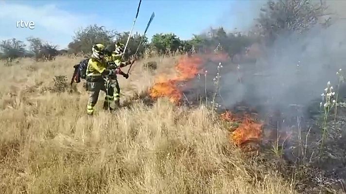 Diario 24 - Diario 24 - 21/07/25