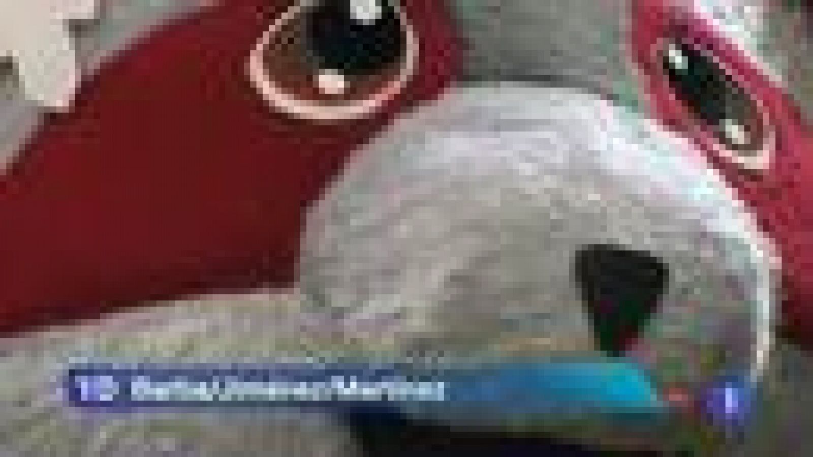 Atlético-Betis, duelo de rachas en Copa | Ver