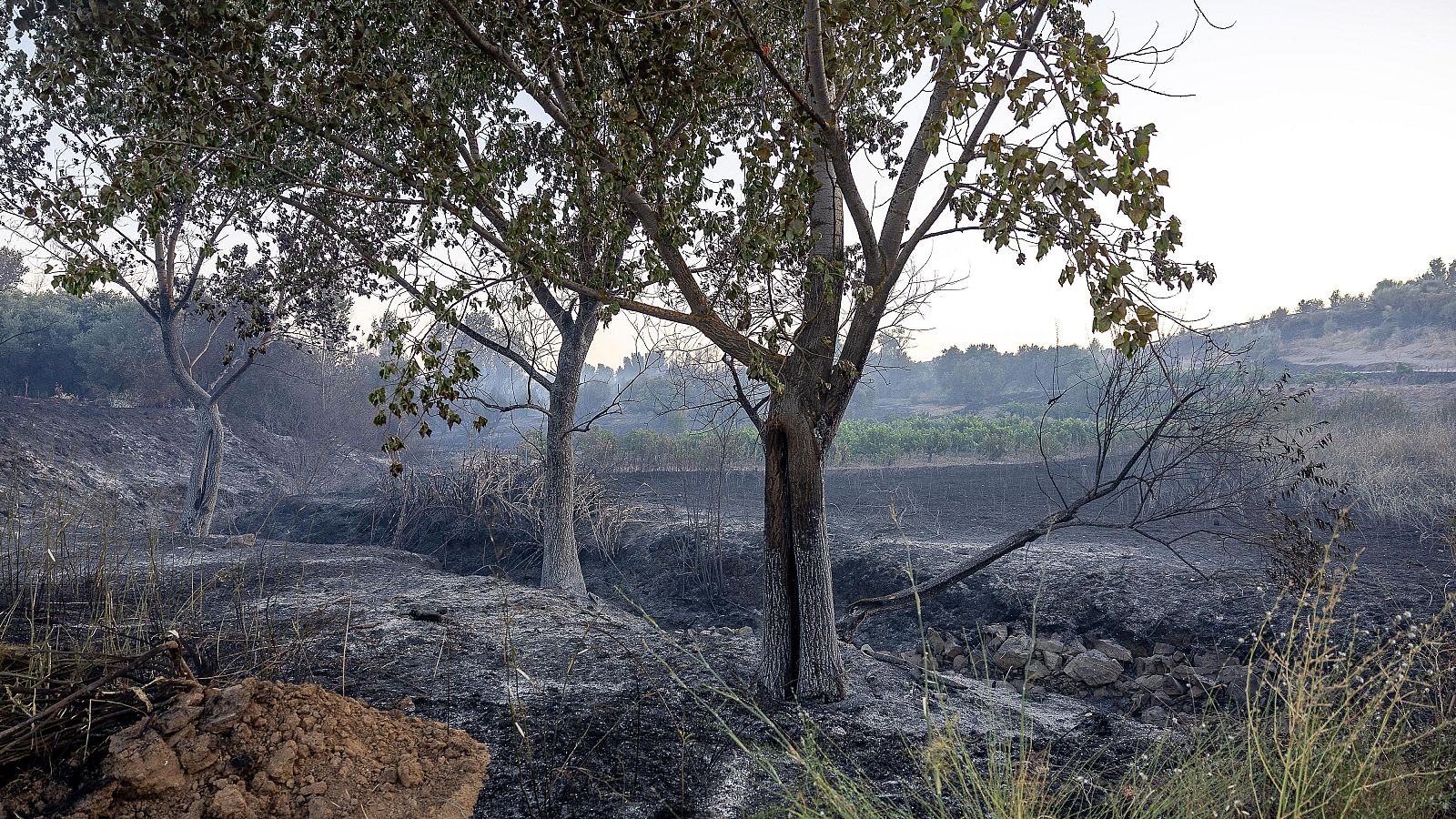 Mejora la situación de los incendios declarados en España - Telediario 1 | Ver
