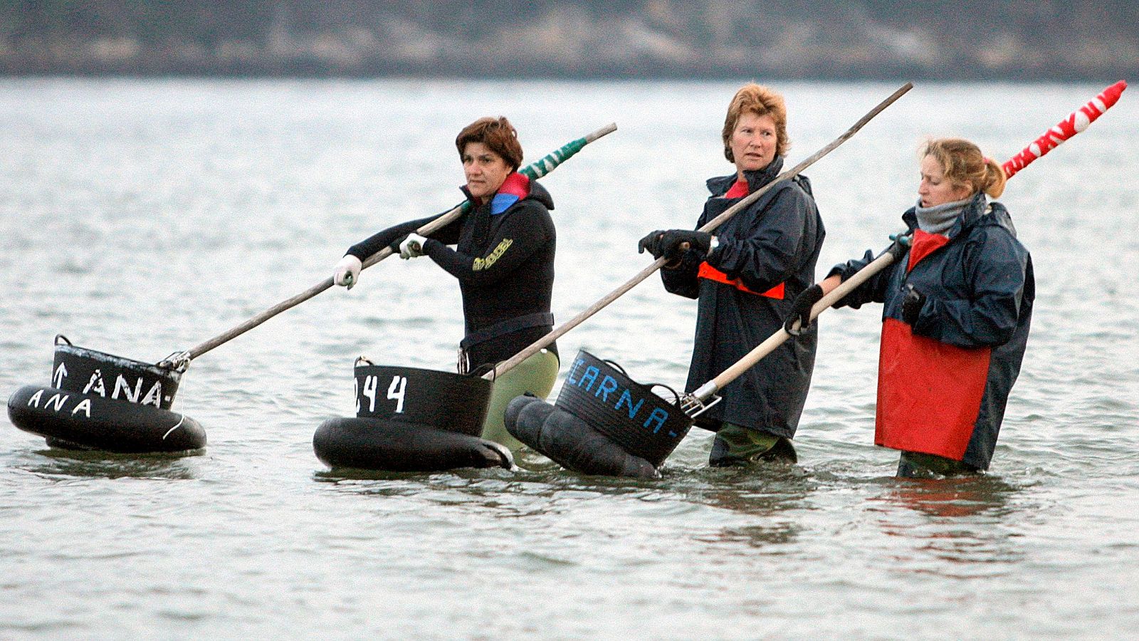 Las infecciones en el aparato urinario y genital, otra de las consecuencias del duro trabajo de las mariscadoras gallegas - Telediario 1 | Ver