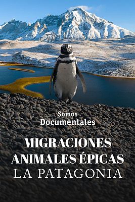 Somos Documentales - Migraciones animales épicas: La Patagonia