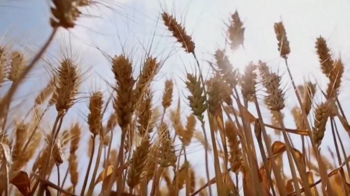 Telediario 2 - La Unión Europea, sin garantía de reservas estratégicas de alimentos en caso de crisis