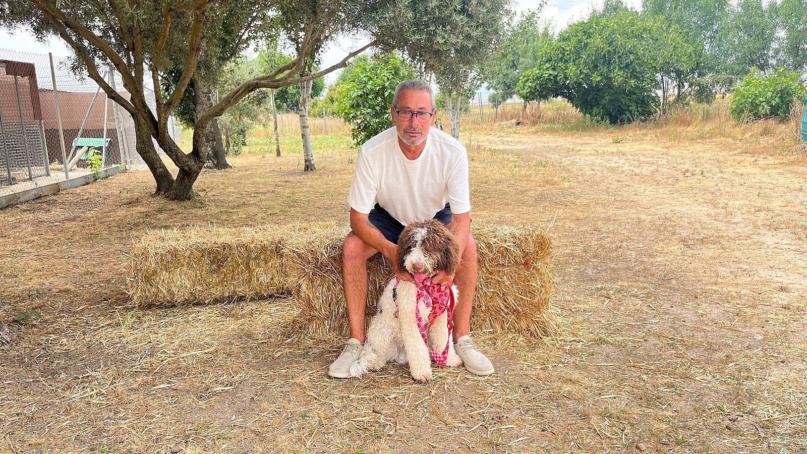 Dog House: Sky conoce a Tito | Ver