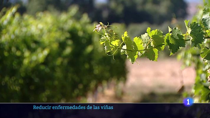 Informativo Telerioja - Informativo Telerioja 22-07-2025 Ver ahora