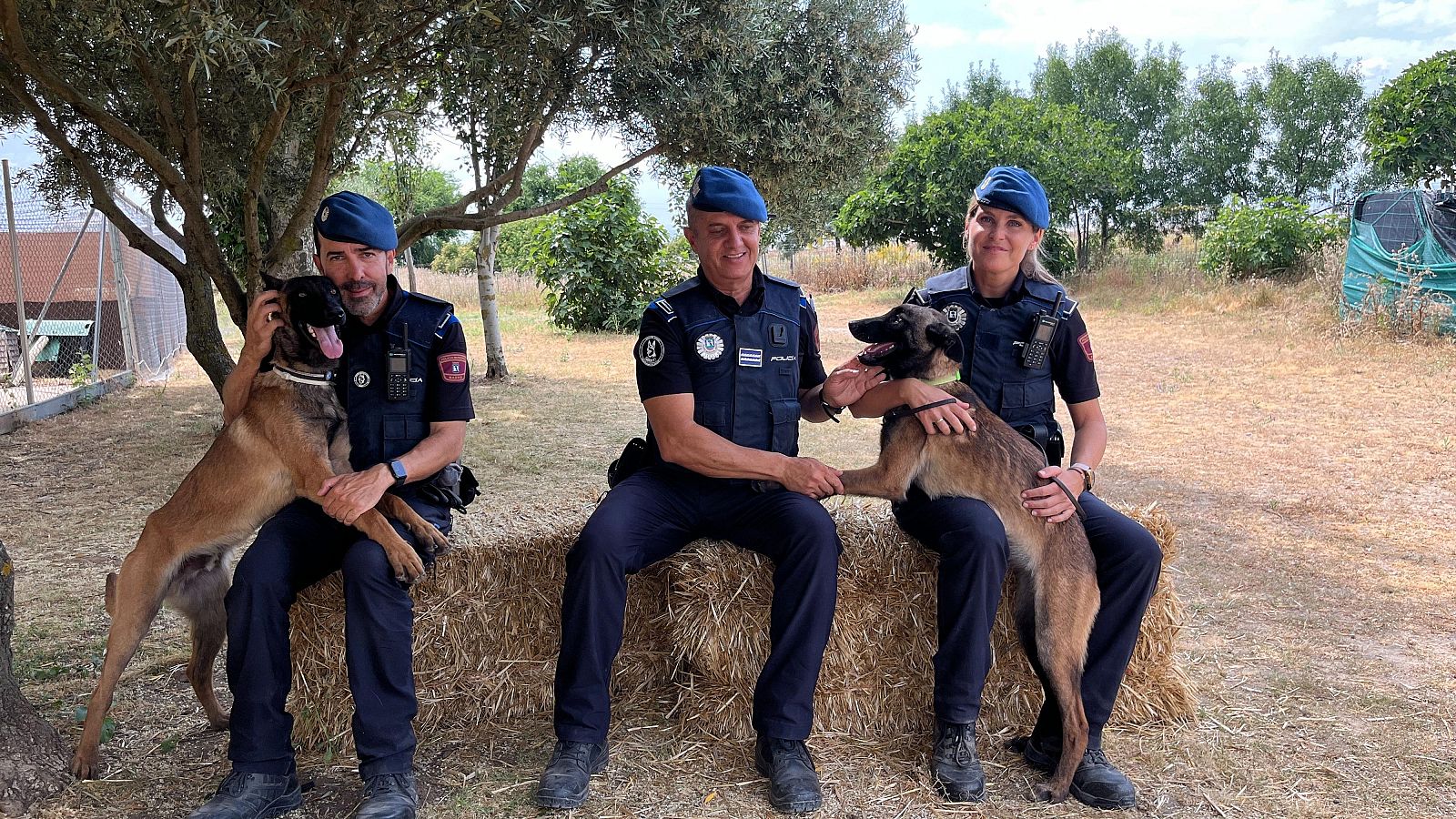 Dog House: La Policía de Madrid busca adoptar dos perros - Dog House | Ver