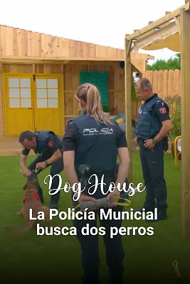 Dog House - La Policía Municipal de Madrid busca adoptar dos perros