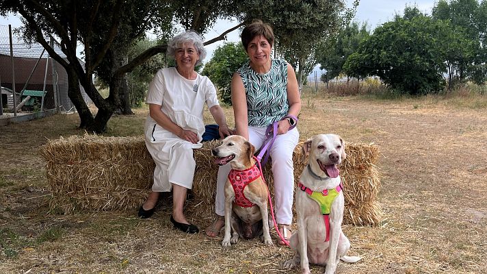 Dog House - La conmovedora historia de Carmen, Raquel y Zoe