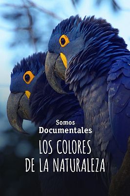 Somos Documentales - Los colores de la naturaleza