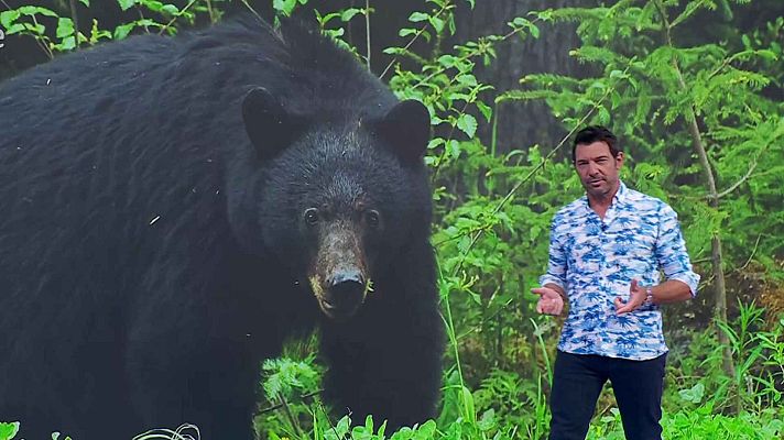 Aquí la Tierra - Aquí la Tierra - 22/07/25