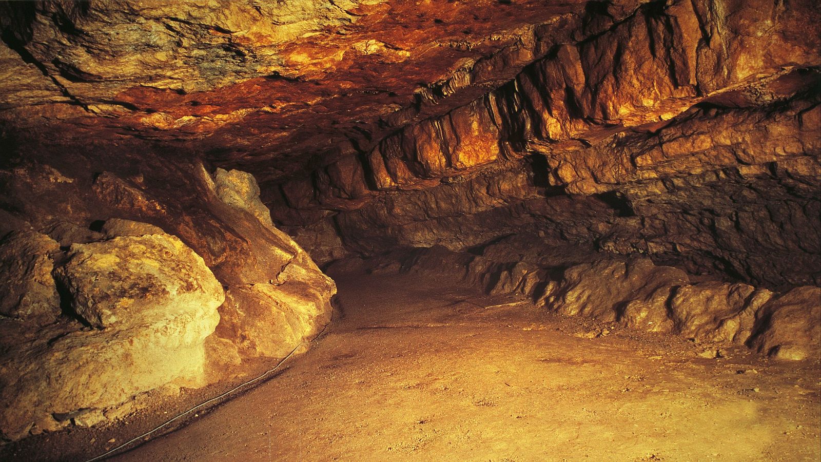 La cueva de Altamira se convierte en un apaciente crónica en peligro - Telediario 1 | Ver