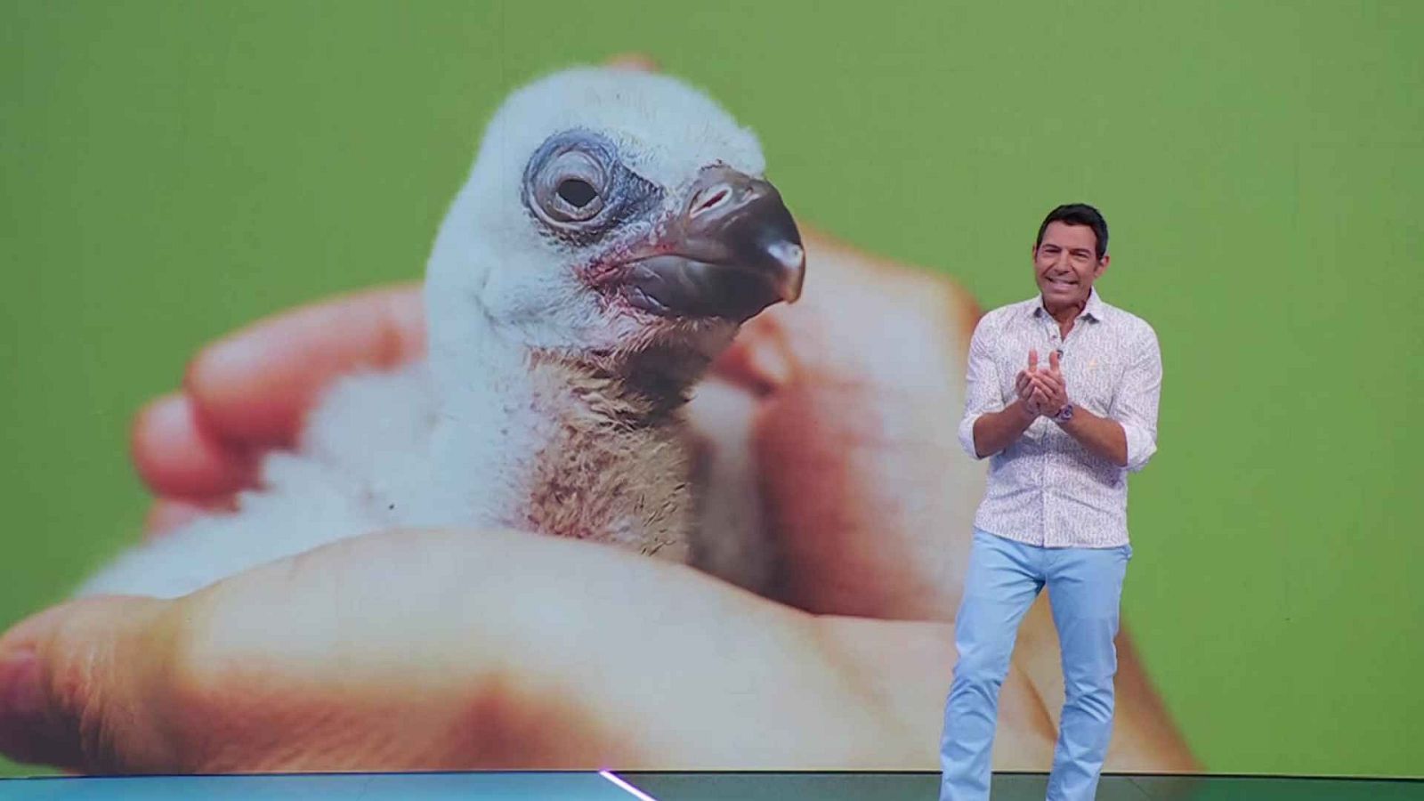 Aquí la Tierra - 24/07/25 - Aquí la Tierra | Ver