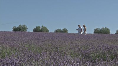 Agrosfera - 26/07/25