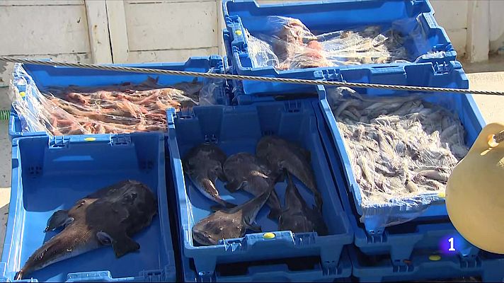 L'Informatiu - Els pescadors catalans, a prop d'esgotar els dies permesos per sortir al mar