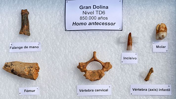 Fin de semana 24h - Atapuerca reafirma el canibalismo en Homo antecessor con marcas de corte en restos de un niño