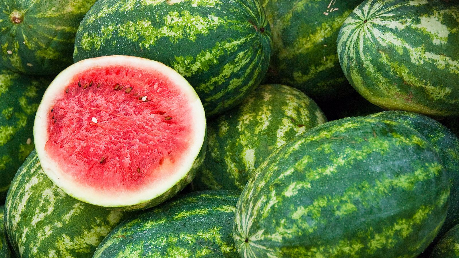 Es tiempo de melón, sandía y fruta de hueso | Ver