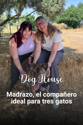 Dog House - Maribel y María: un empujón para socializar