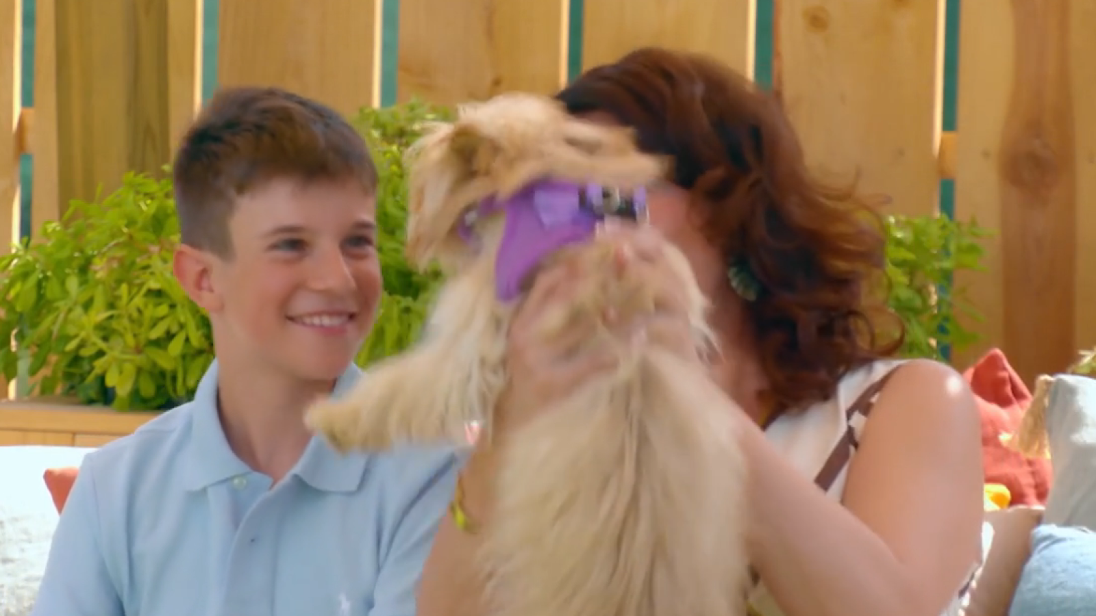 Pilar y Mael en Dog House: un sueño cumplido - Dog House | Ver