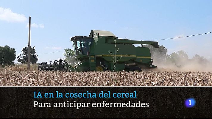 Informativo Telerioja - Telerioja en 2´- 28-07-2025