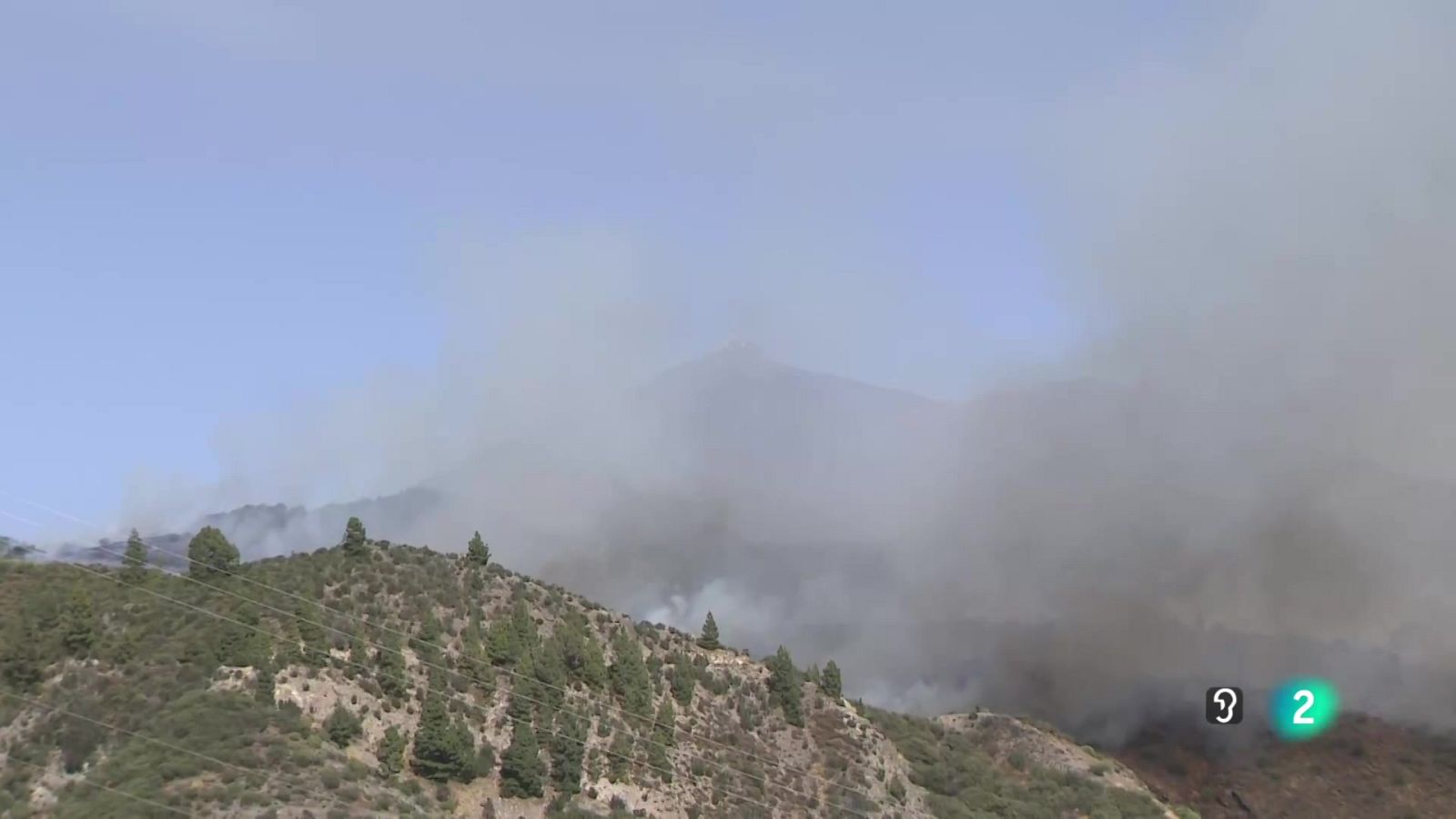 Telecanarias Tarde - 28/07/2025 | Ver