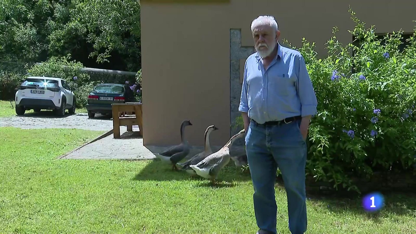 Panorama Regional 2 - 29/07/25 | Ver