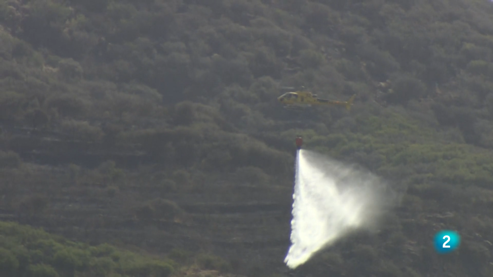 Telecanarias 2 - 29-07-2025 | Ver