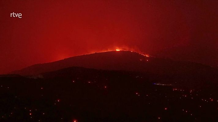 La tarde en 24h - La tarde en 24 horas - 30/07/25