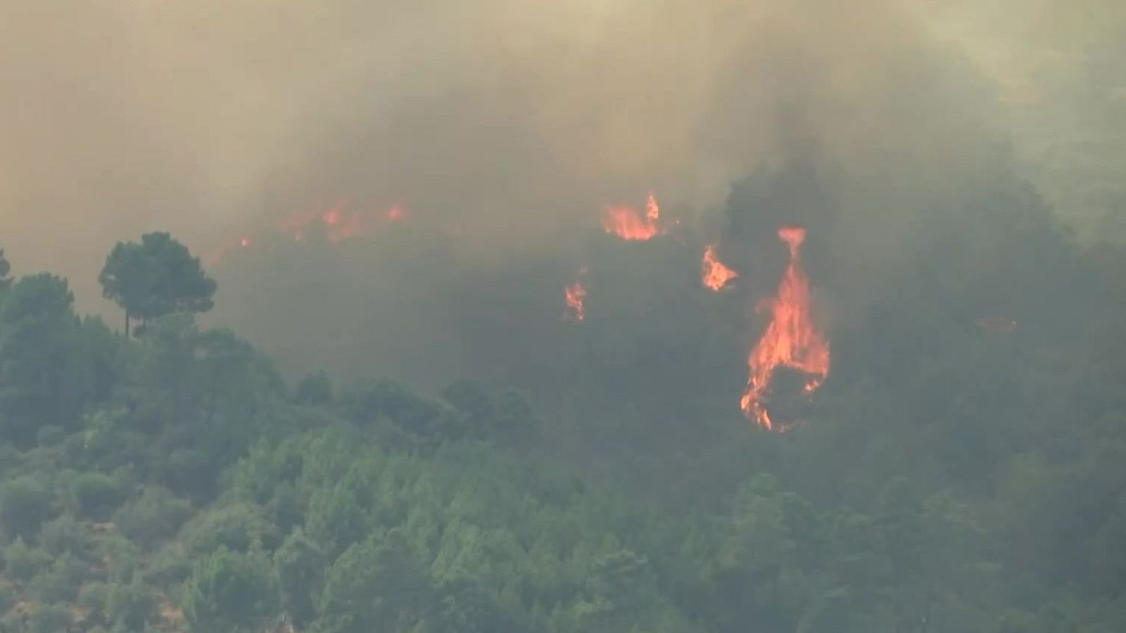 Informativo 24 horas - 20h - 30/07/25 - Informativo 24h | Ver