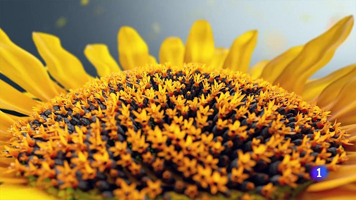 Noticias Andalucía - El tiempo en Andalucía - 30/07/2025