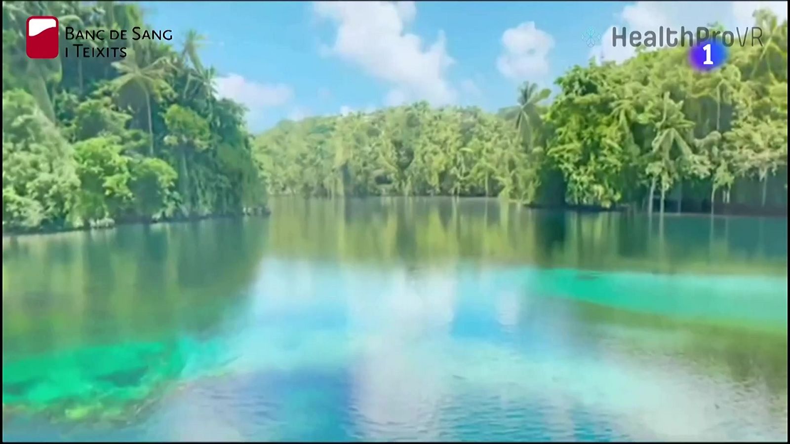 Crida a donar sang a l'estiu: les reserves cauen prop d'un 20% - L'Informatiu | Veure